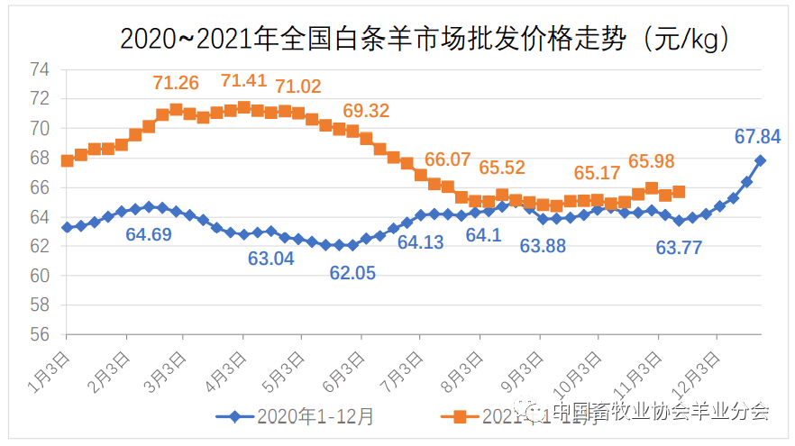 羊的养殖技术视频6_养殖羊的视频_养殖羊视频教程全集