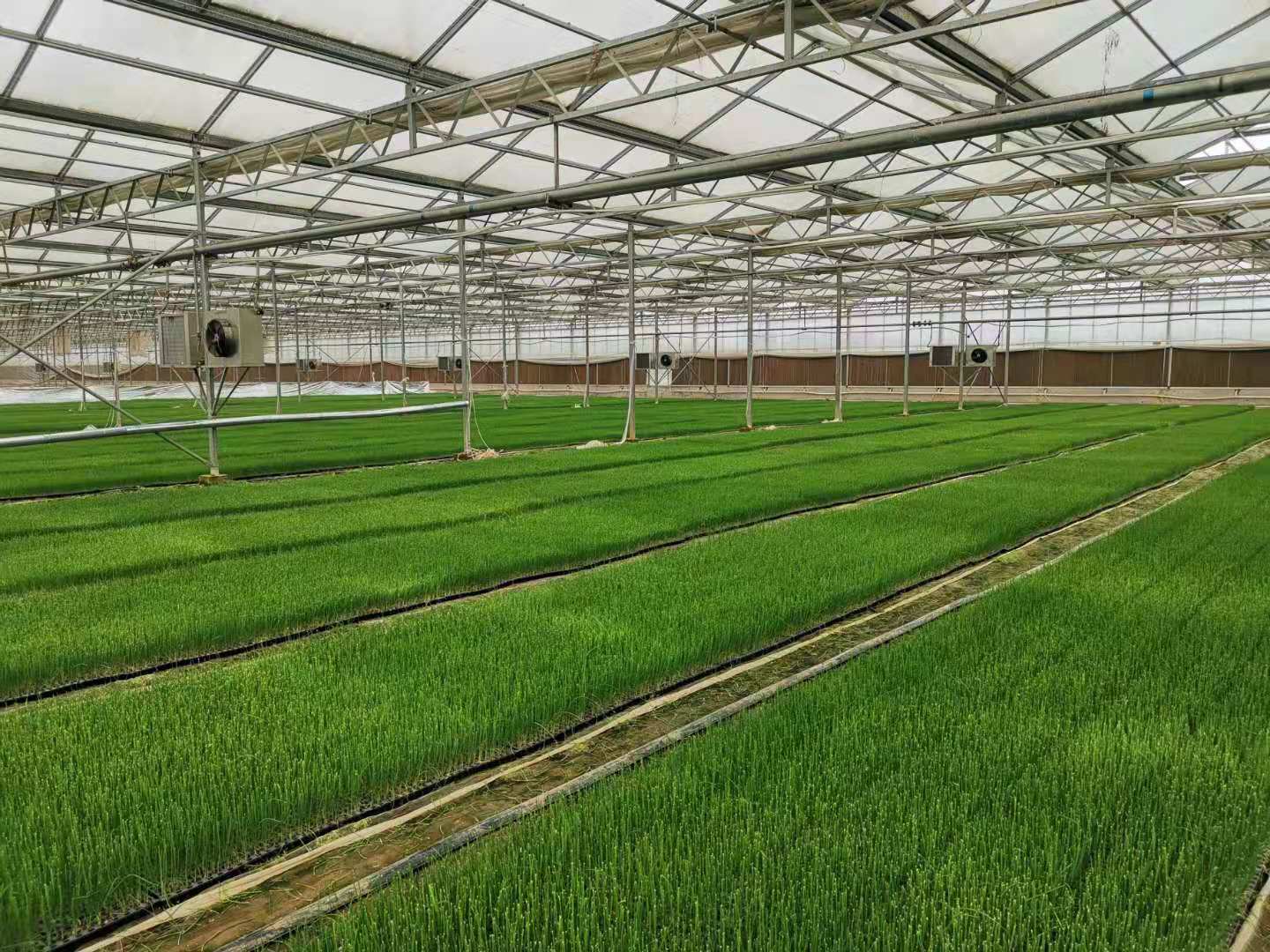 致富种植农民工具有哪些_农民种植致富工具_致富种植农民工具视频