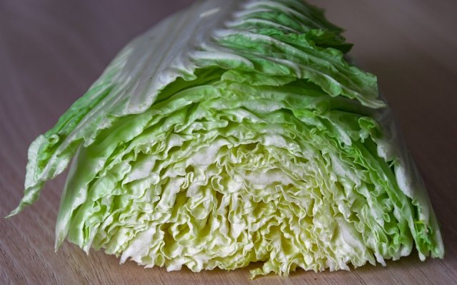 常见露地蔬菜栽培方法 农村露天蔬菜种植技术