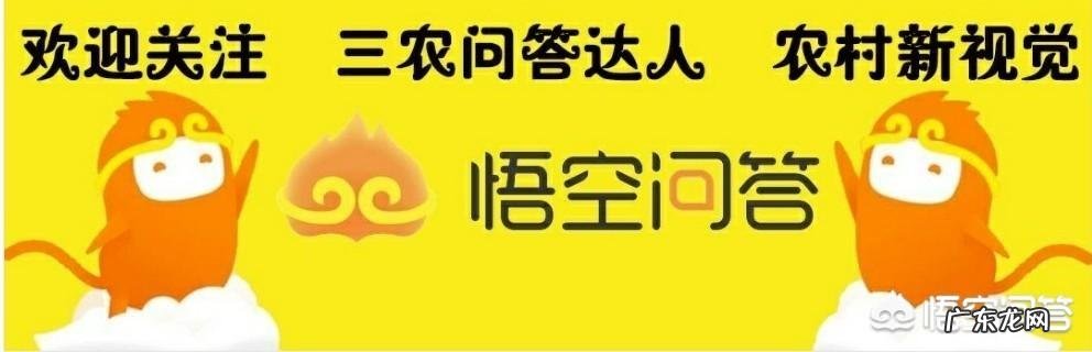 农村养殖业致富项目？ 农村有哪些适合养殖的？