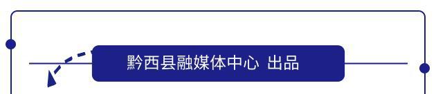 「我的扶贫故事」｜黔西县定新乡元田村第一书记李树先