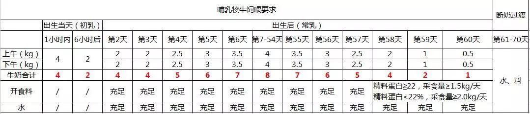 犊牛养殖成功要点_牛犊的养殖_犊牛养殖技术