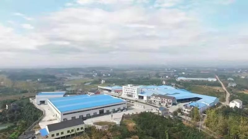 湖北河蟹养殖大县_致富经湖北养殖螃蟹_湖北养蟹基地