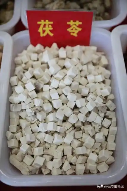 林下10大中药材，是农民发家致富的一个选项，你那里有人种么？