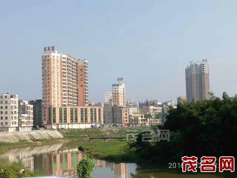 橘红树王