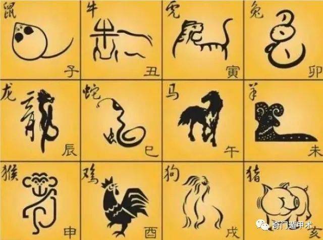 致富经 桑枝_致富经cctv7种植桑黄_致富经桑枝栽培食用菌