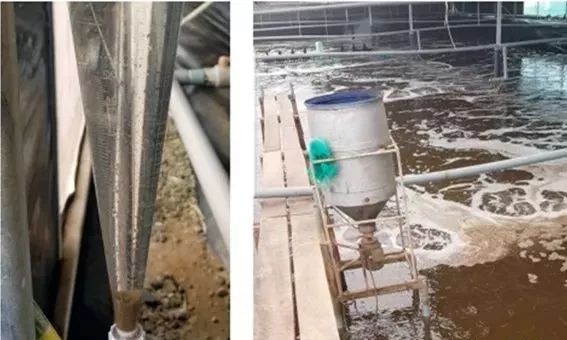 致富经养虾_致富经室内养虾视频_致富经 养虾二十多年