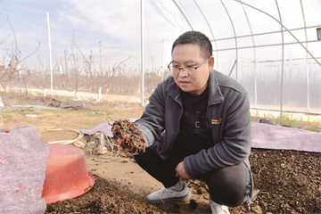 孟津区白鹤镇：牛粪养蚯蚓 土里淘出“金”