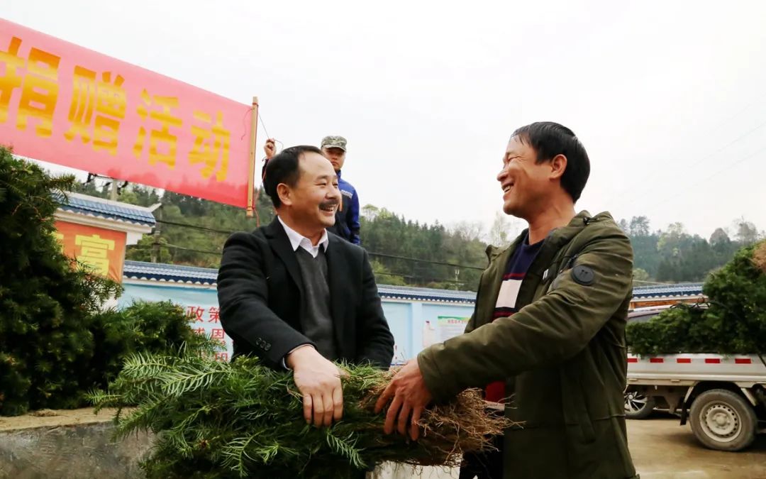 种树致富经_致富树怎么种植_致富经种树的创业项目