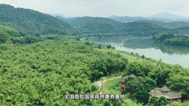 小竹子如何做成大产业？中国竹乡广宁县践行林下经济融合创新发展之路
