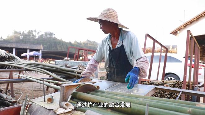 致富竹子种植方法_竹子致富项目_种植竹子 致富