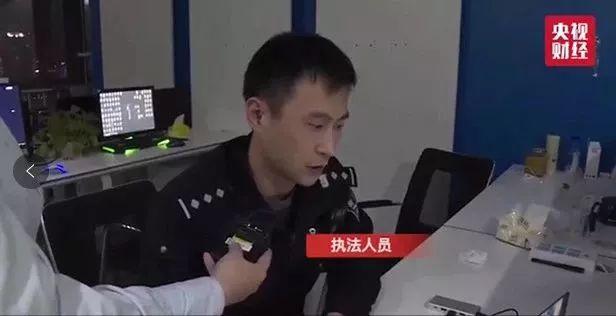 斑蝥养殖利润与前景_斑蝥养殖骗局_养殖斑蝥致富