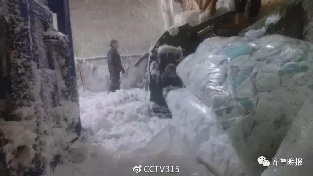 斑蝥养殖利润与前景_养殖斑蝥致富_斑蝥养殖骗局
