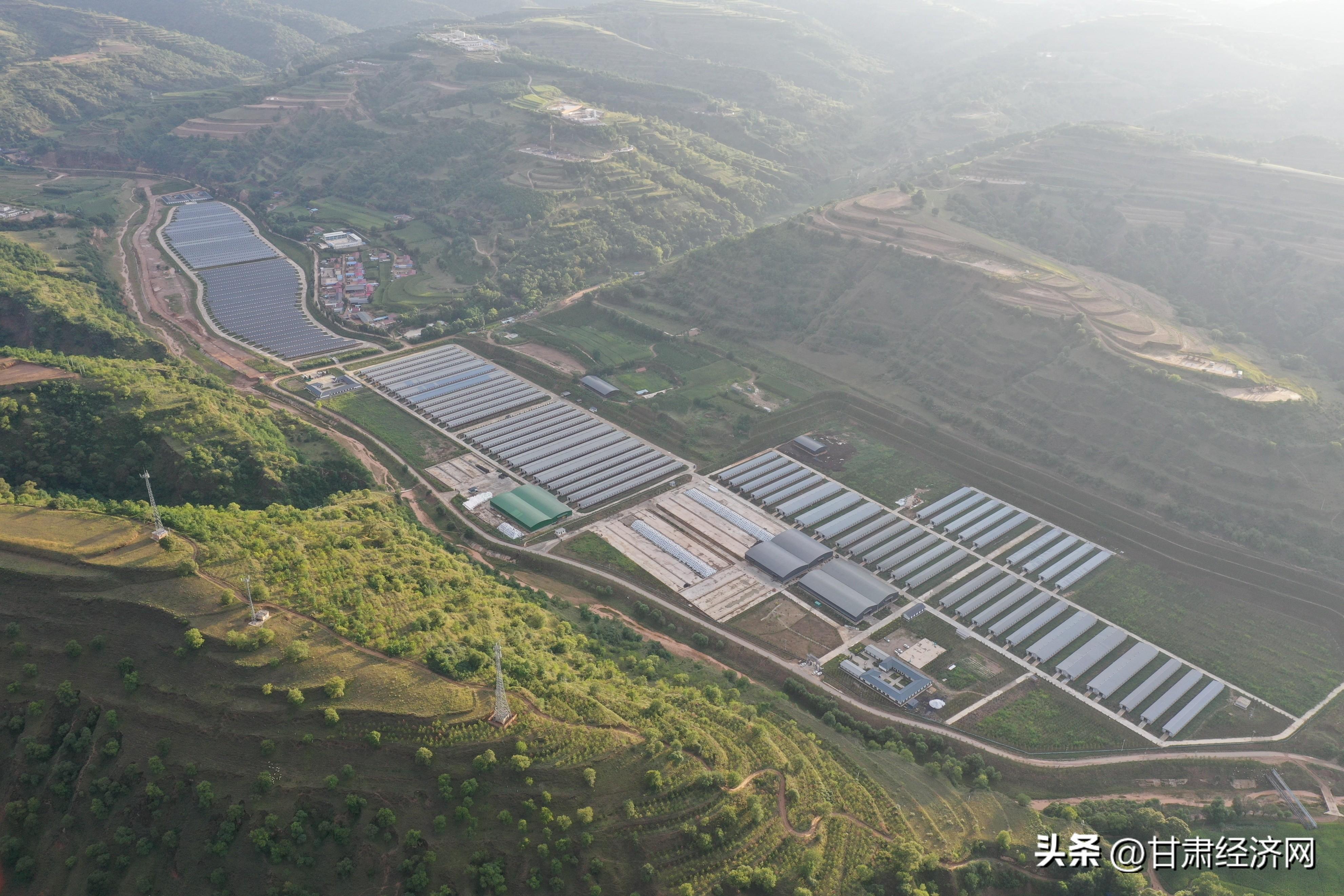 工厂化养羊致富经_致富养猪场是真的吗_工厂化养殖羊