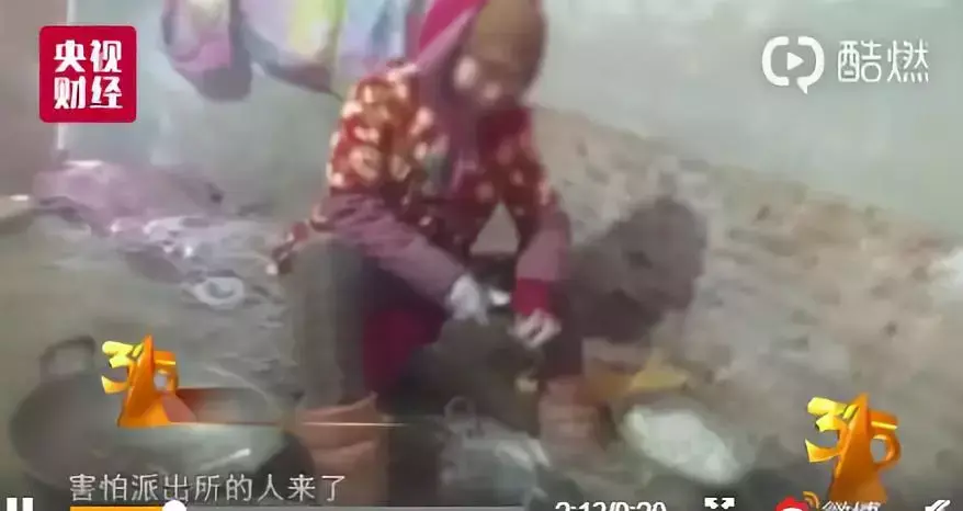 斑蝥养殖场_养殖斑蝥致富_斑蝥养殖效益好吗