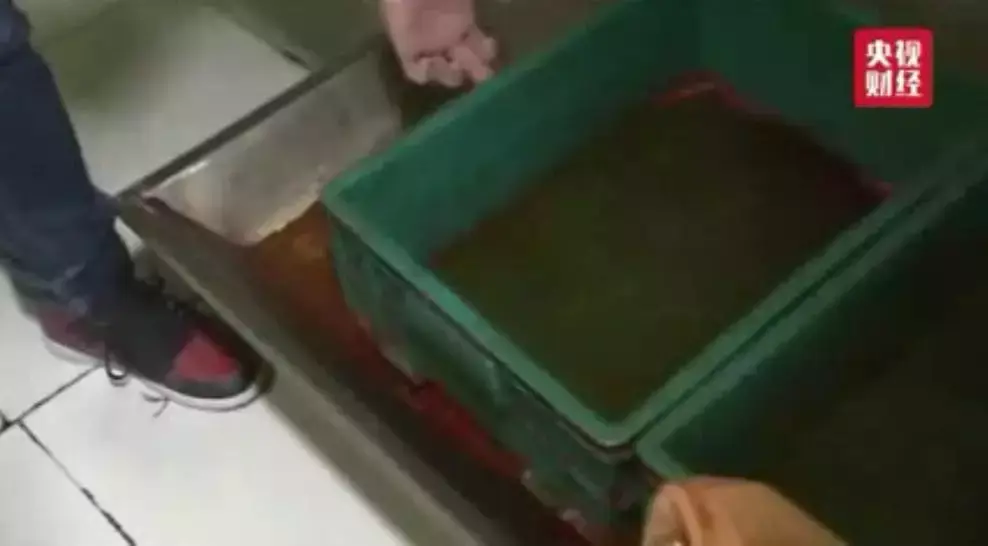 斑蝥养殖效益好吗_养殖斑蝥致富_斑蝥养殖场