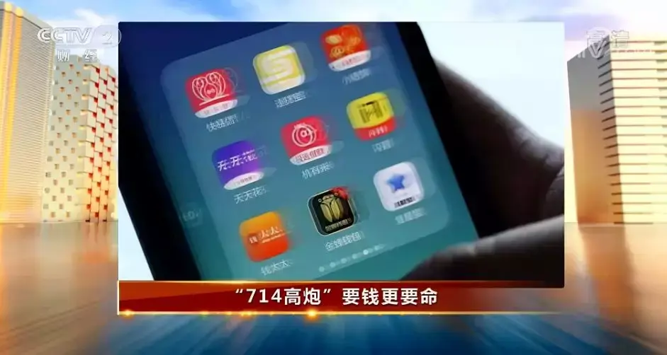 斑蝥养殖效益好吗_斑蝥养殖场_养殖斑蝥致富