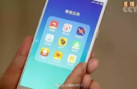 养殖斑蝥致富_斑蝥养殖效益好吗_斑蝥养殖场
