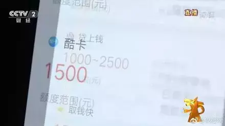 斑蝥养殖场_养殖斑蝥致富_斑蝥养殖效益好吗