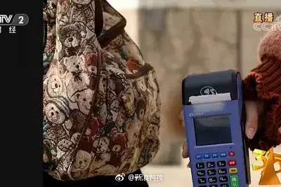 斑蝥养殖场_养殖斑蝥致富_斑蝥养殖效益好吗