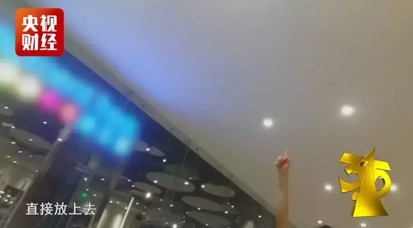 斑蝥养殖场_养殖斑蝥致富_斑蝥养殖效益好吗
