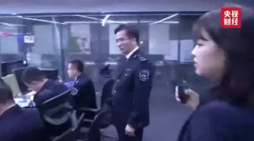 斑蝥养殖场_斑蝥养殖效益好吗_养殖斑蝥致富