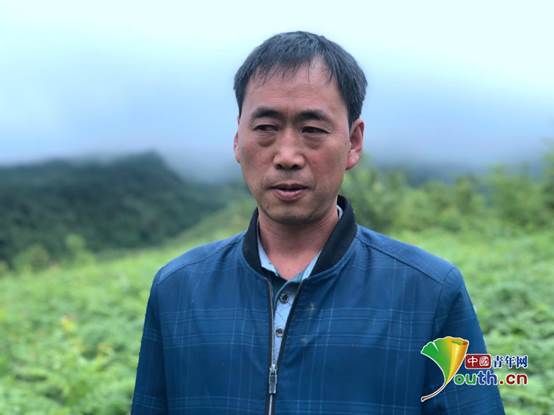 竹子致富项目_致富竹子种植视频_种植竹子 致富