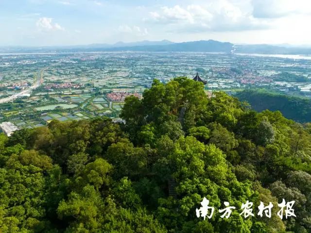 致富养殖草鱼图片_致富经草鱼养殖_养草鱼致富经