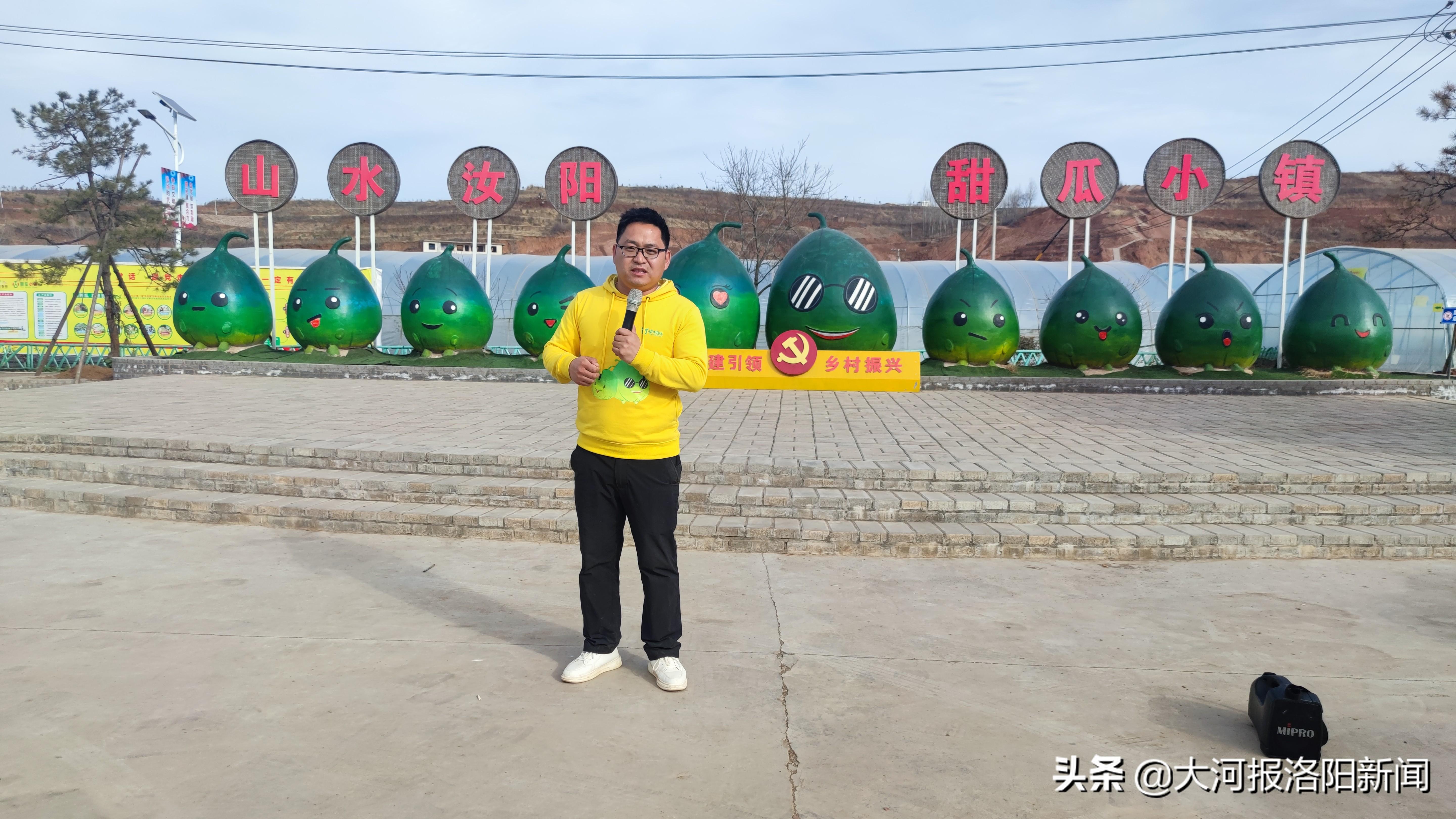 洛阳80后小伙返乡创业，甜瓜长在牛粪上，一年营收450万