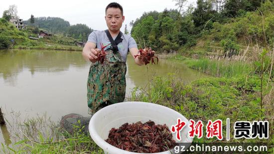 生财有道龙虾养殖视频_养殖小龙虾的视频农业频道_小龙虾养殖致富经视频