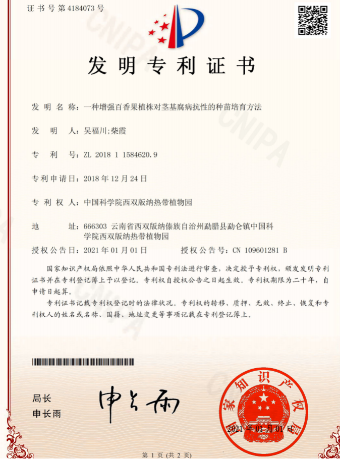 百香怎样种植技术_香种子怎么种_如何种植香草