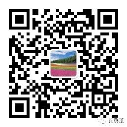 繁殖羊的饲养标准_繁殖牛羊养殖技术知识_养殖繁育牛技术和饲养方法