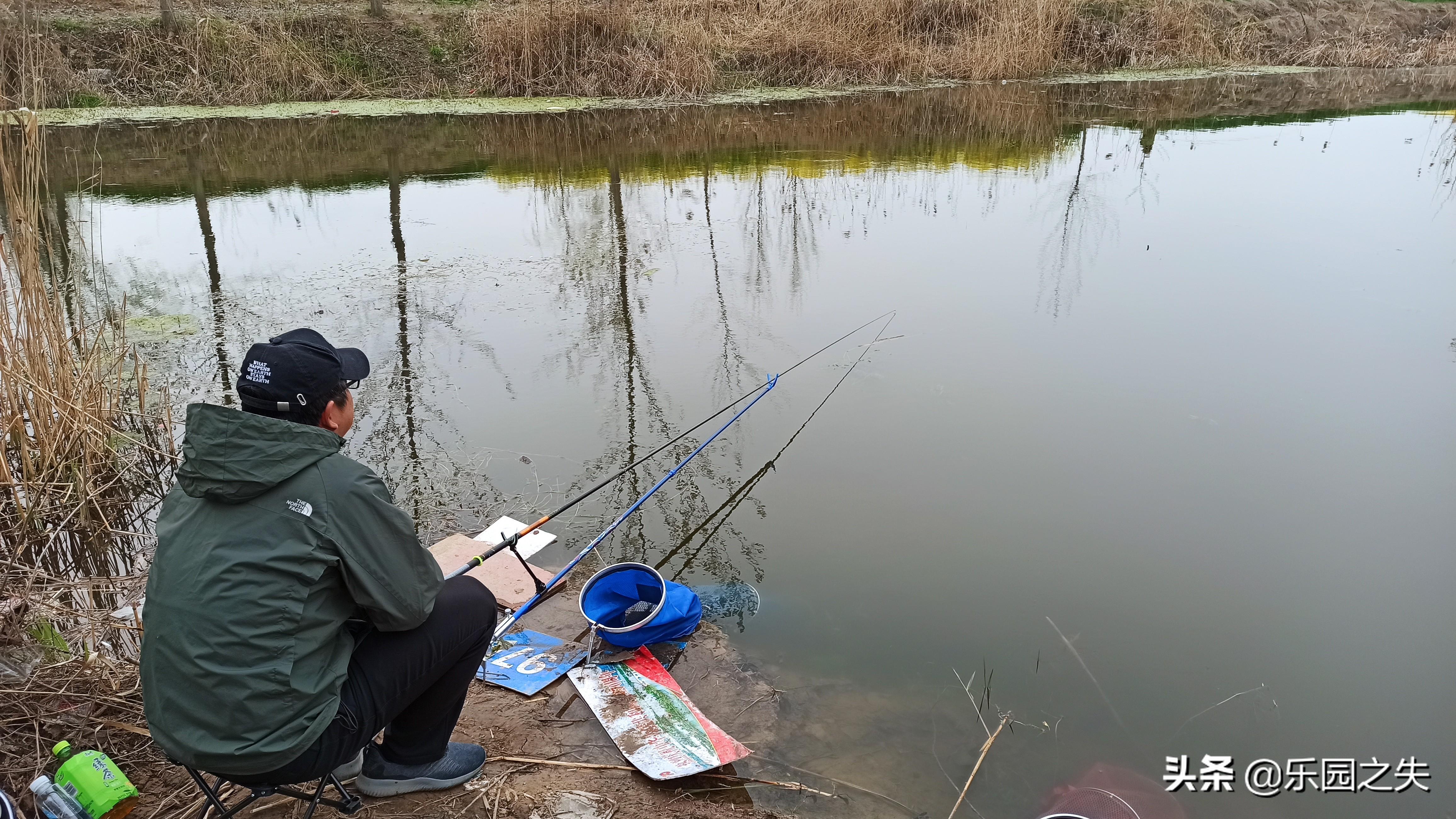 养殖鲤鱼技术_草鱼鲤鱼养殖技术_淡水鲤鱼养殖技术