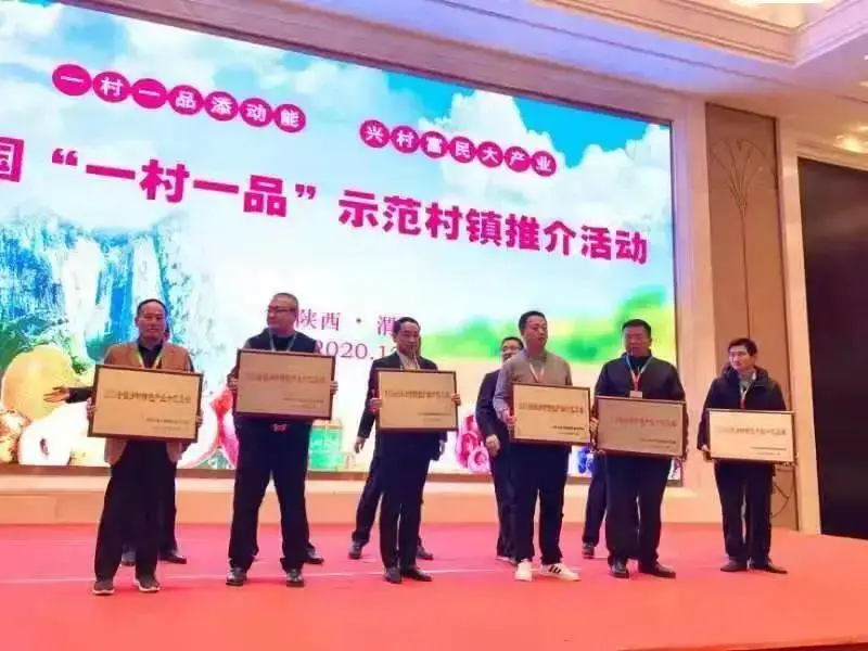 致富果树养殖项目简介_果树养殖致富项目_果树种植致富经