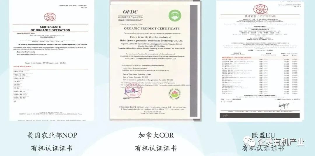 养殖致富语录_语录致富养殖的句子_致富语录经典