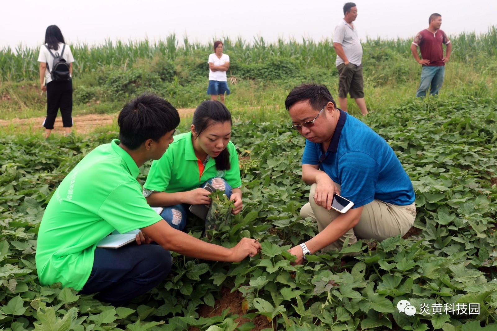 致富种植农民思维导图_农民种植致富思维_致富经农业种植