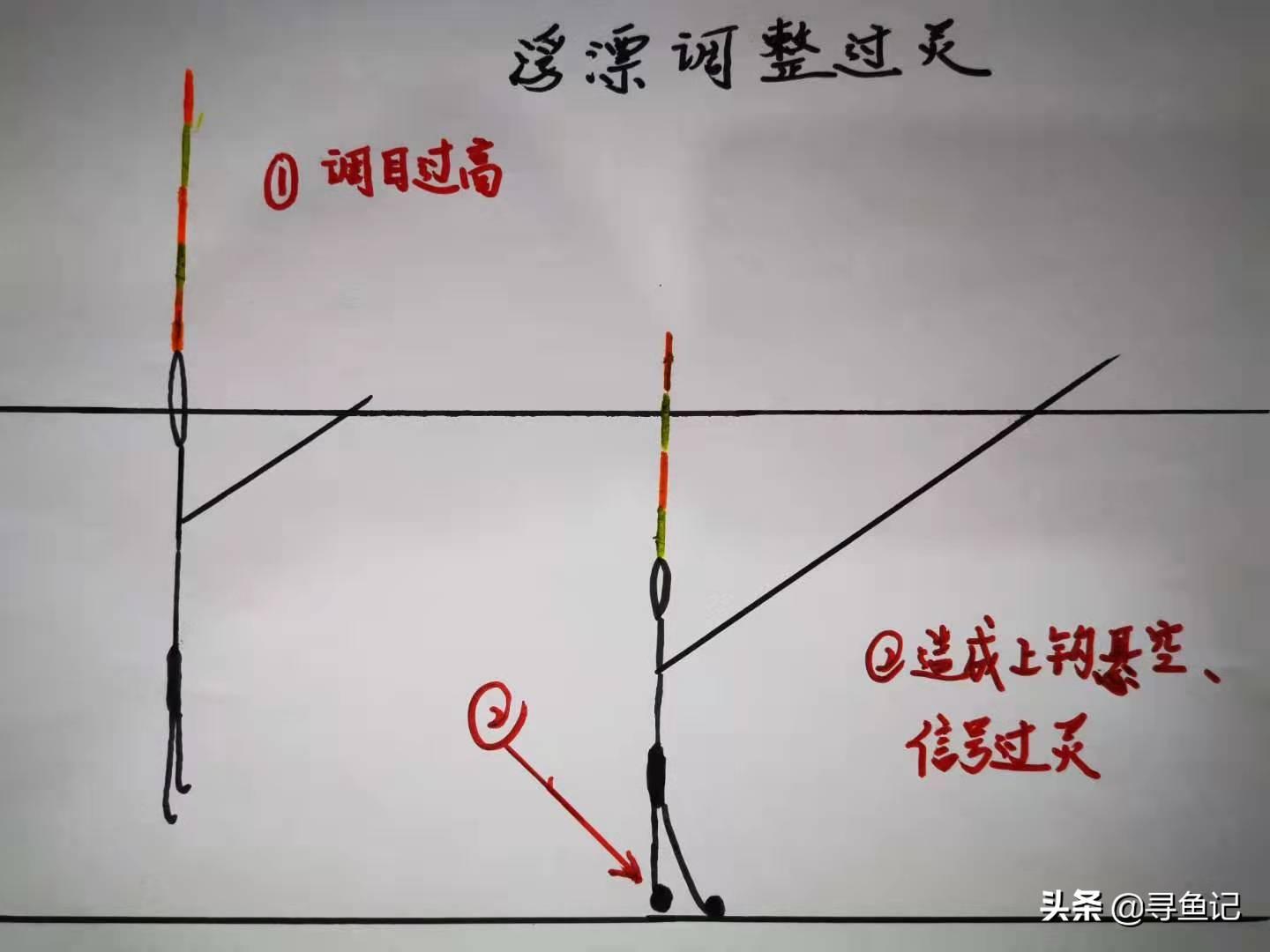 养殖鲤鱼技术_鲤鱼养殖技术视频_鲤鱼养殖技术大全