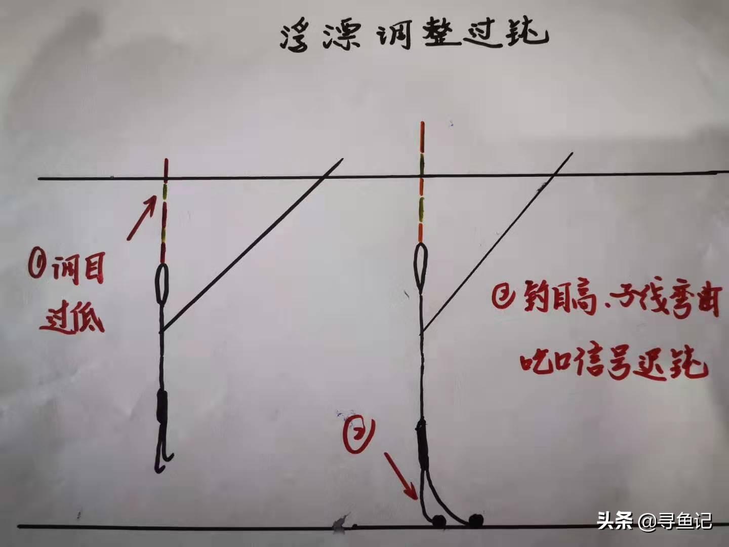 养殖鲤鱼技术_鲤鱼养殖技术大全_鲤鱼养殖技术视频