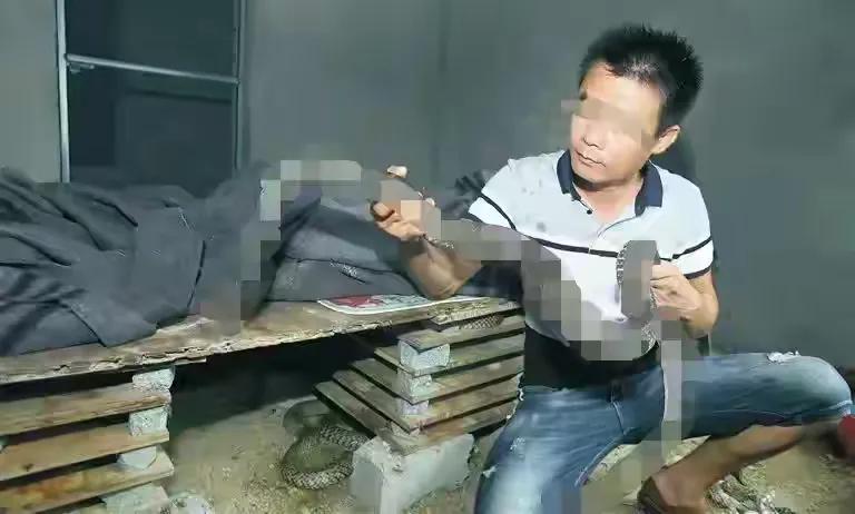 他，20年花10万养了2000条蛇，仅1年就赚了88万，如今还盖了别野
