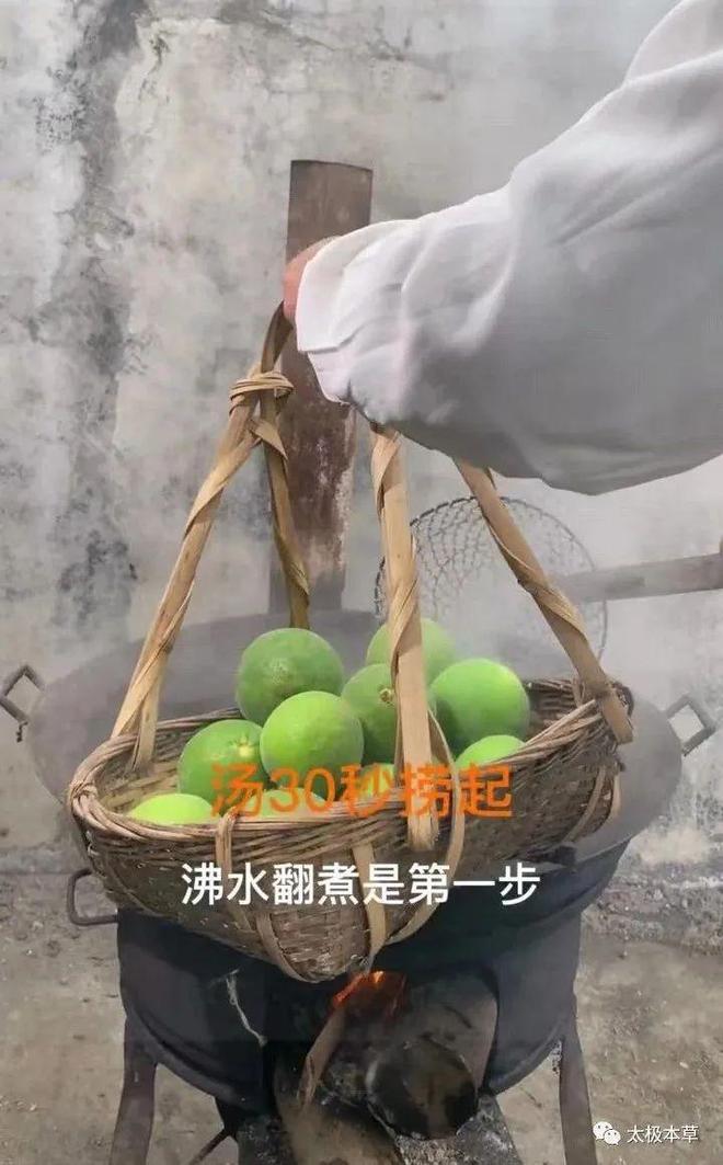 化州橘红产业的现状_致富经之化州橘红_化州橘红种植骗局