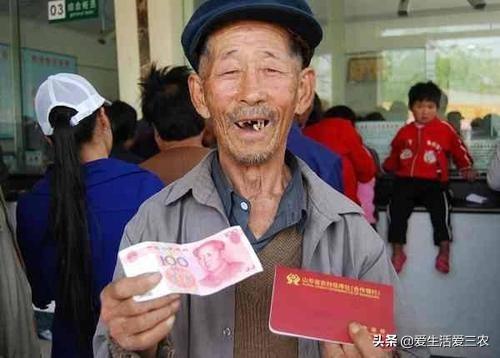 豹猫养殖致富_致富养殖豹猫怎么样_致富经豹猫养殖视频