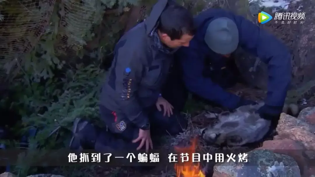 致富养殖豹猫怎么样_豹猫养殖场_豹猫养殖致富