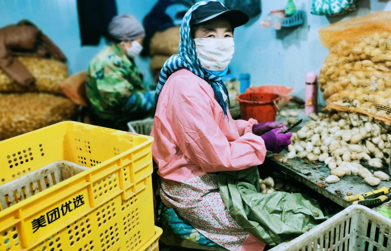 致富养殖蚕蛹怎么养_蚕蛹养殖致富_致富养殖蚕蛹图片