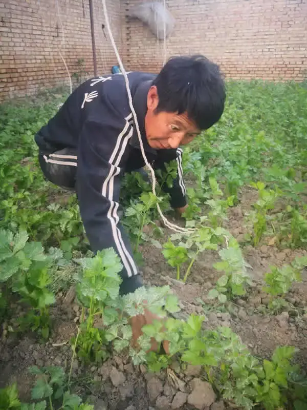 蒙古马养殖致富_蒙古马养殖牧场的方案_养蒙古马有补贴吗