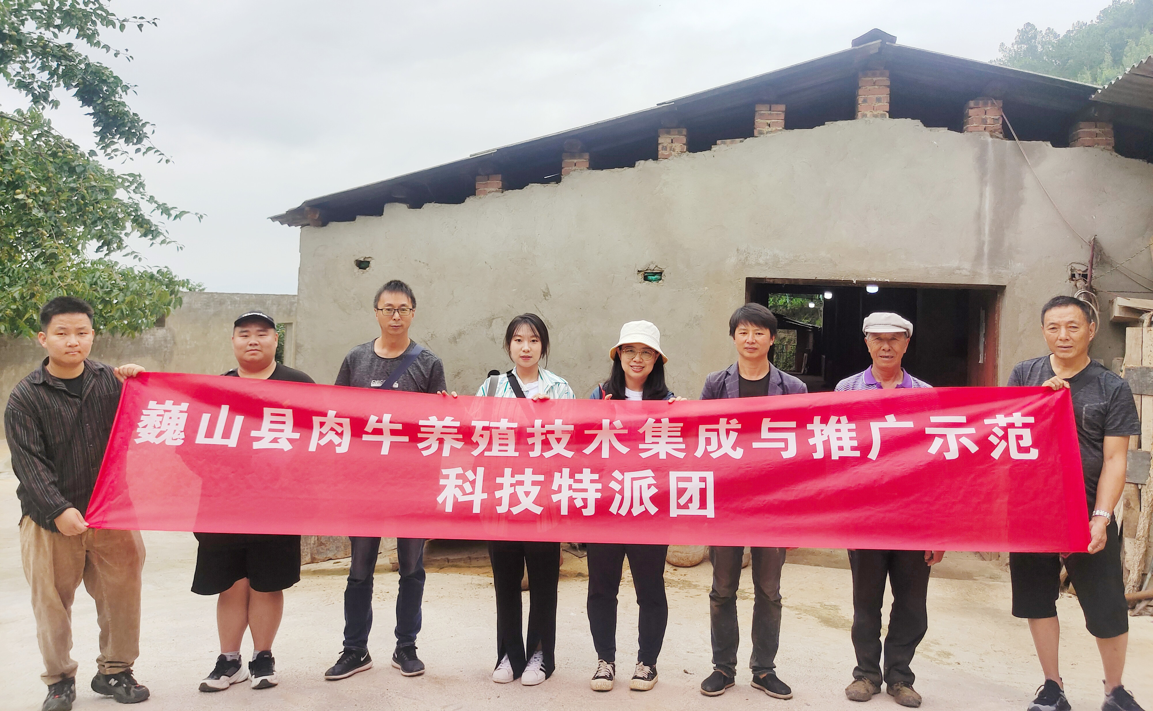 云南农村肉牛养殖技术_云南肉牛养殖场_云南肉牛养殖企业名录