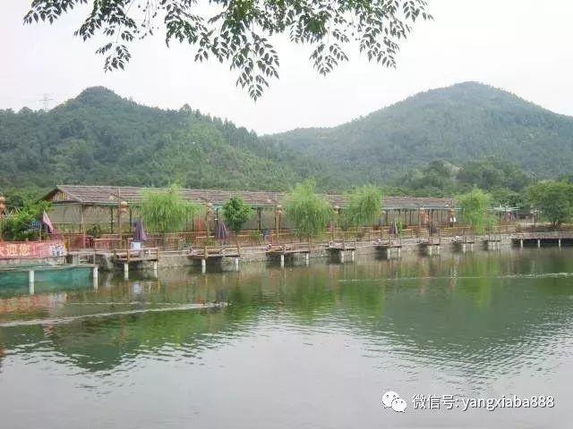 河虾养殖技术(河虾如何养)_河虾养殖技术 河虾如何养_河虾养殖效益怎么样