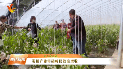 乡村振兴 | 莎车县：发展产业带动村民致富增收