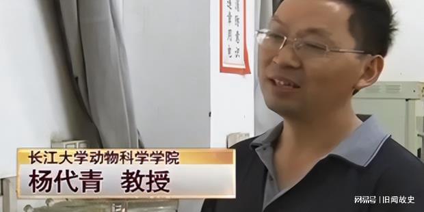 致富养殖鲶鱼发家史怎么写_鲶鱼养殖发家致富_养殖鲶鱼赚钱吗