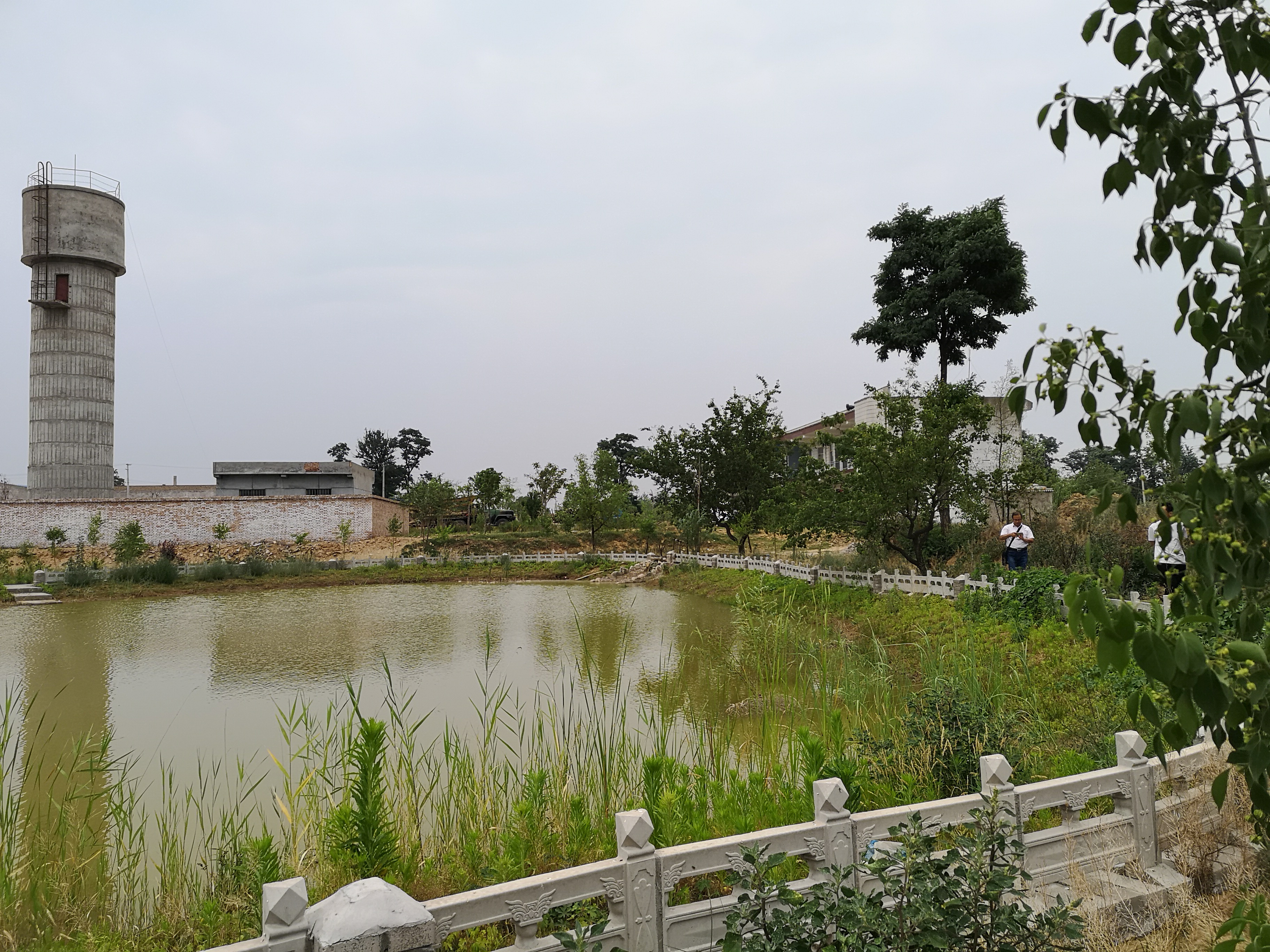 养肉鸡赚钱吗利润多少_养肉鸡赚钱吗养什么鸡好_养殖肉鸡致富发财