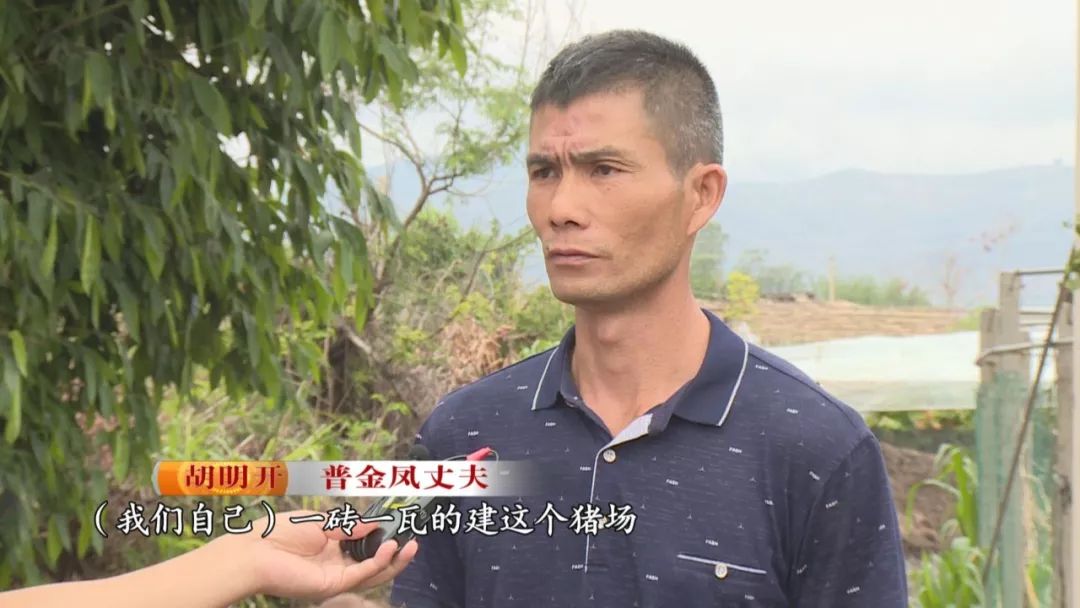 楚雄养殖补贴政策_云南楚雄养殖致富_云南楚雄养殖业补贴政策